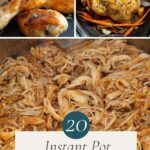 20 Instant Pot Chicken Recipes