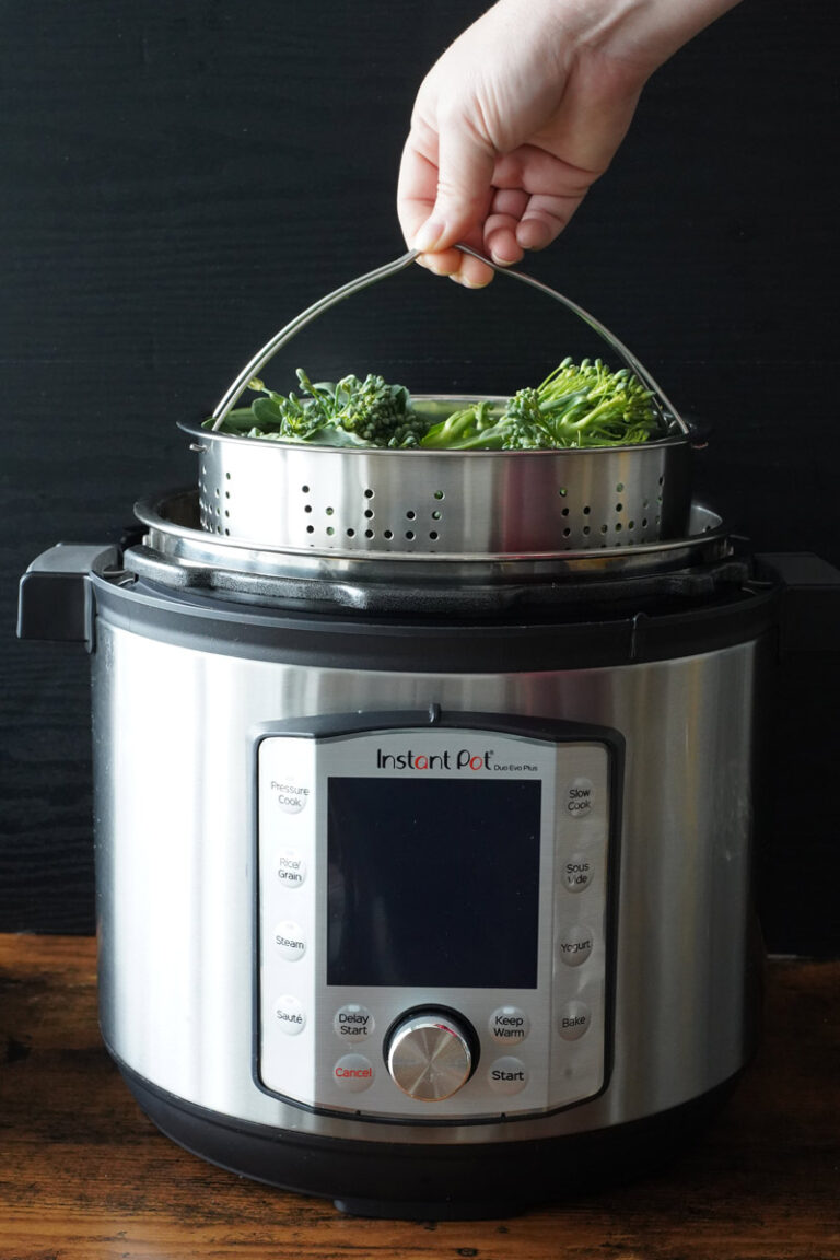 Which Containers Can Be Used in the Instant Pot? A Pressure Cooker