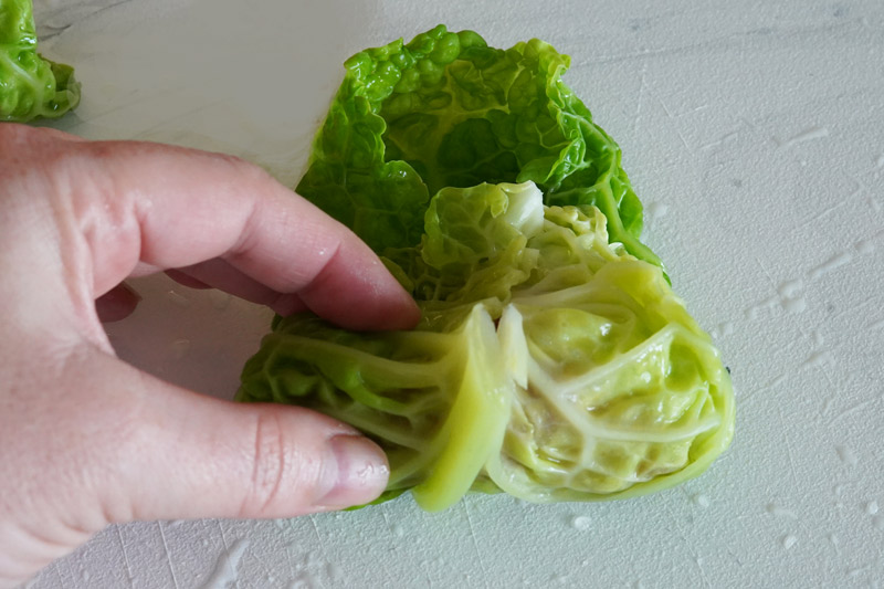 Rolling up a cabbage leaf