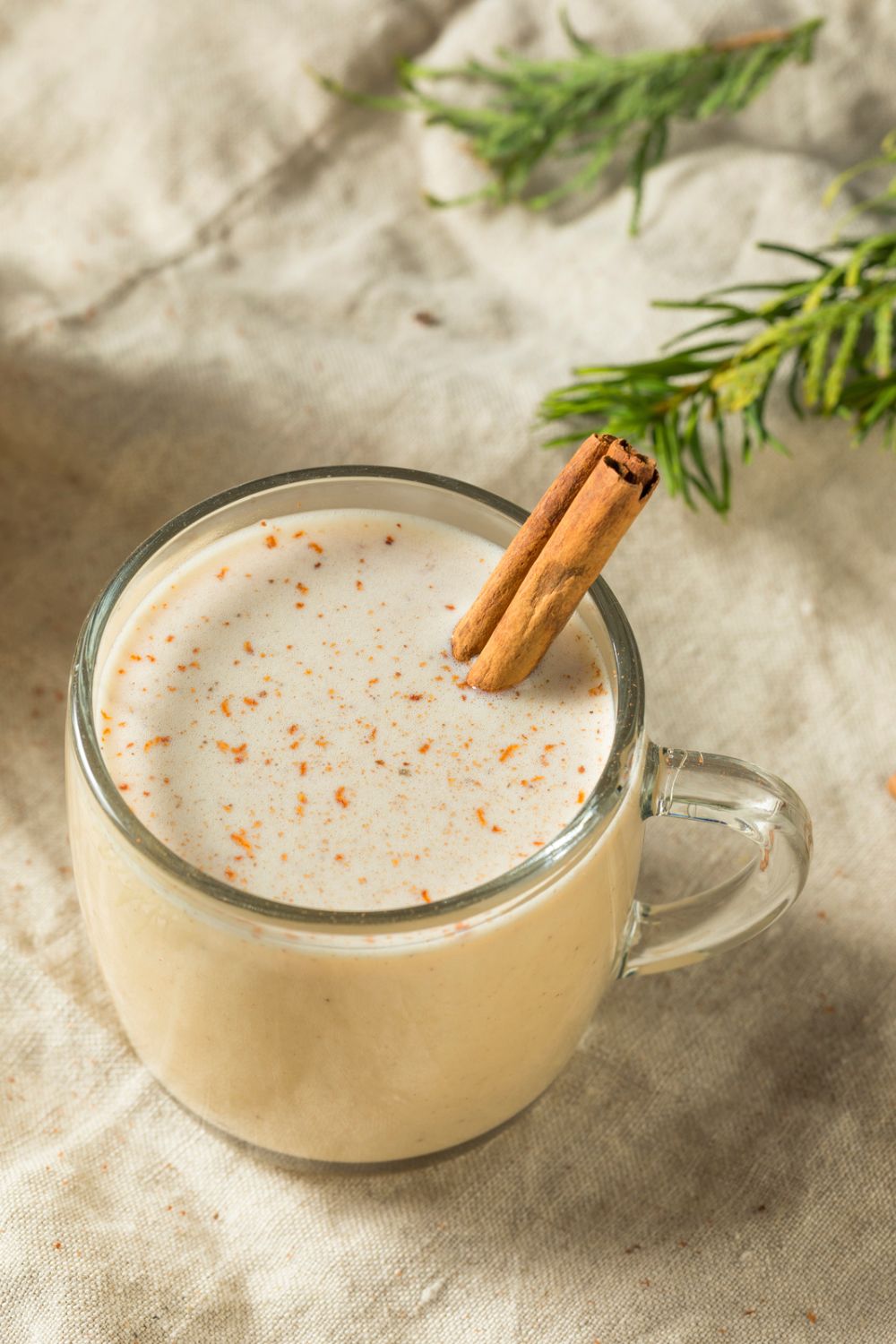 A mug of eggnog, Instant Pot Homemade Eggnog