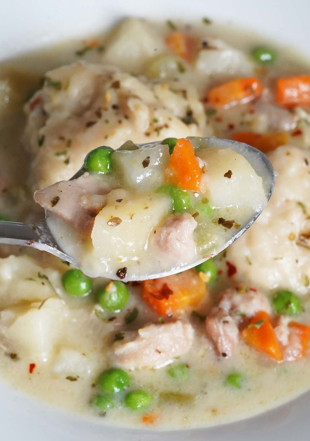 A bowl of chicken and dumplings