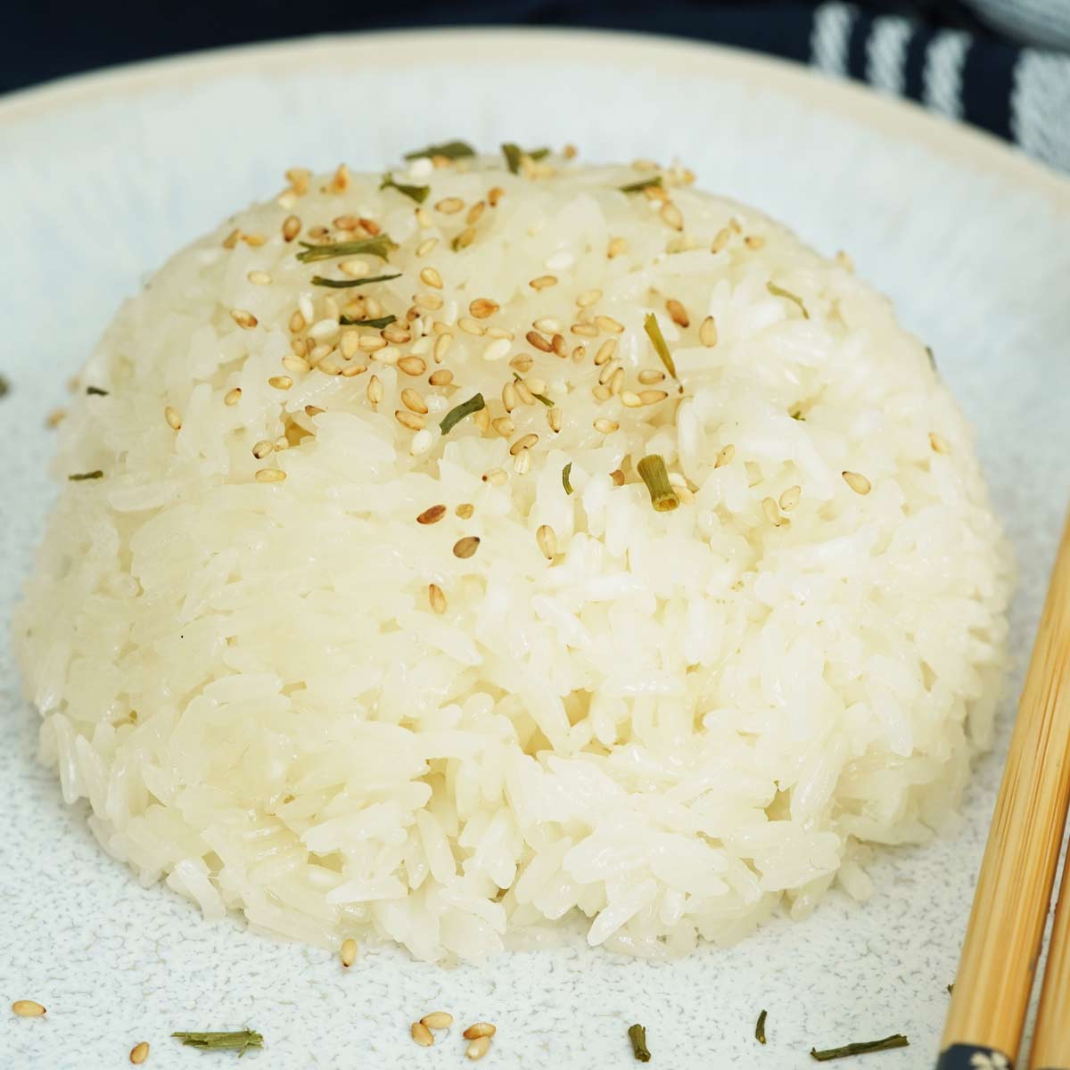 Chinese-Style Instant Pot Sticky Rice (糯米飯)