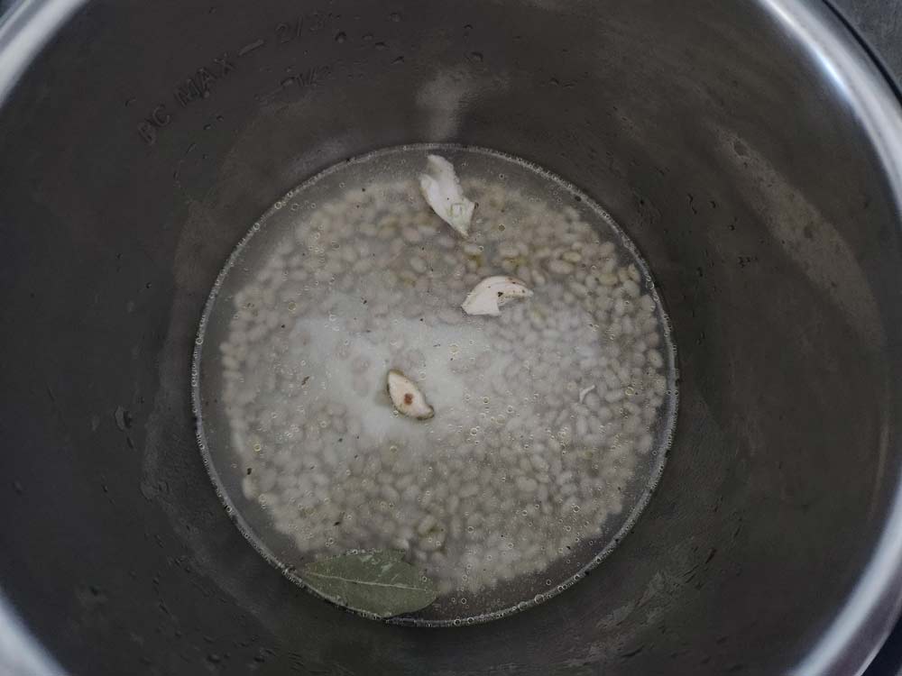 everything in the Instant Pot