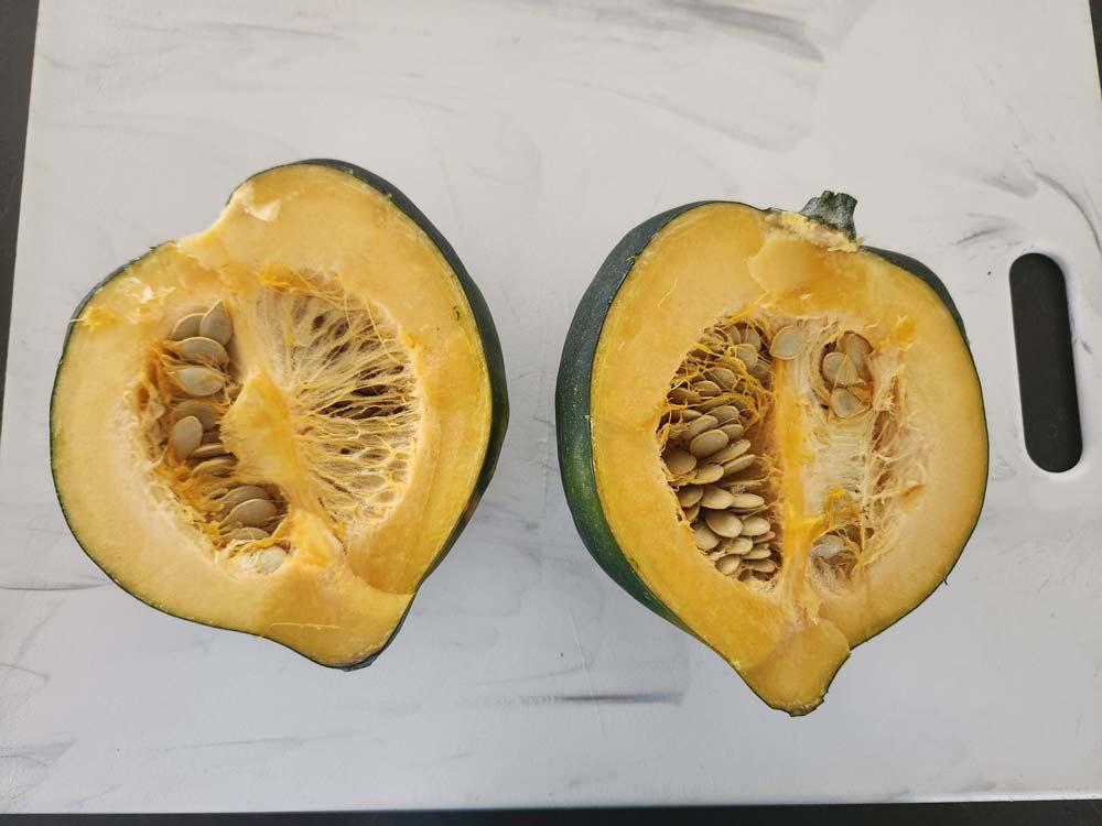 An acorn squash cut in half