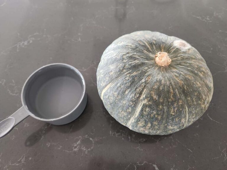 Instant Pot Kabocha Squash A Pressure Cooker Kitchen